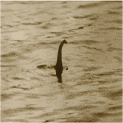 Loch Ness Monster long neck and head sticking out of body of water